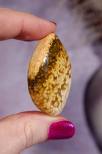 Ocean Jasper Cabochon 4.4cm, Indonesia Cabochons Tali & Loz Crystals