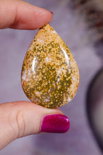 Ocean Jasper Cabochon 4.5cm, Indonesia Cabochons Tali & Loz Crystals