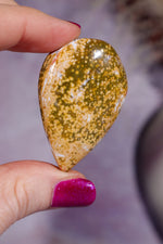 Ocean Jasper Cabochon 4.5cm, Indonesia Cabochons Tali & Loz Crystals