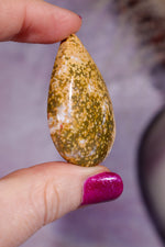 Ocean Jasper Cabochon 4.5cm, Indonesia Cabochons Tali & Loz Crystals
