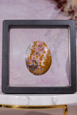 Ocean Jasper Palmstone | 4.2cm | Madagascar Palmstones Tali & Loz Crystals