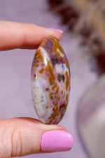 Ocean Jasper Palmstone | 4.2cm | Madagascar Palmstones Tali & Loz Crystals