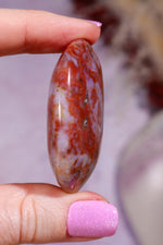 Ocean Jasper Palmstone | 4.7cm | Madagascar Palmstones Tali & Loz Crystals