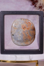 Ocean Jasper Palmstone | 5.8cm | Madagascar Palmstones Tali & Loz Crystals