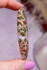 Ocean Jasper Palmstone | 6.2cm | Madagascar Palmstones Tali & Loz Crystals