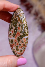 Ocean Jasper Palmstone | 6.2cm | Madagascar Palmstones Tali & Loz Crystals