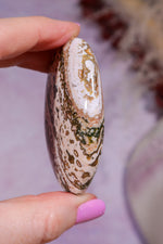 Ocean Jasper Palmstone | 6.2cm | Madagascar Palmstones Tali & Loz Crystals