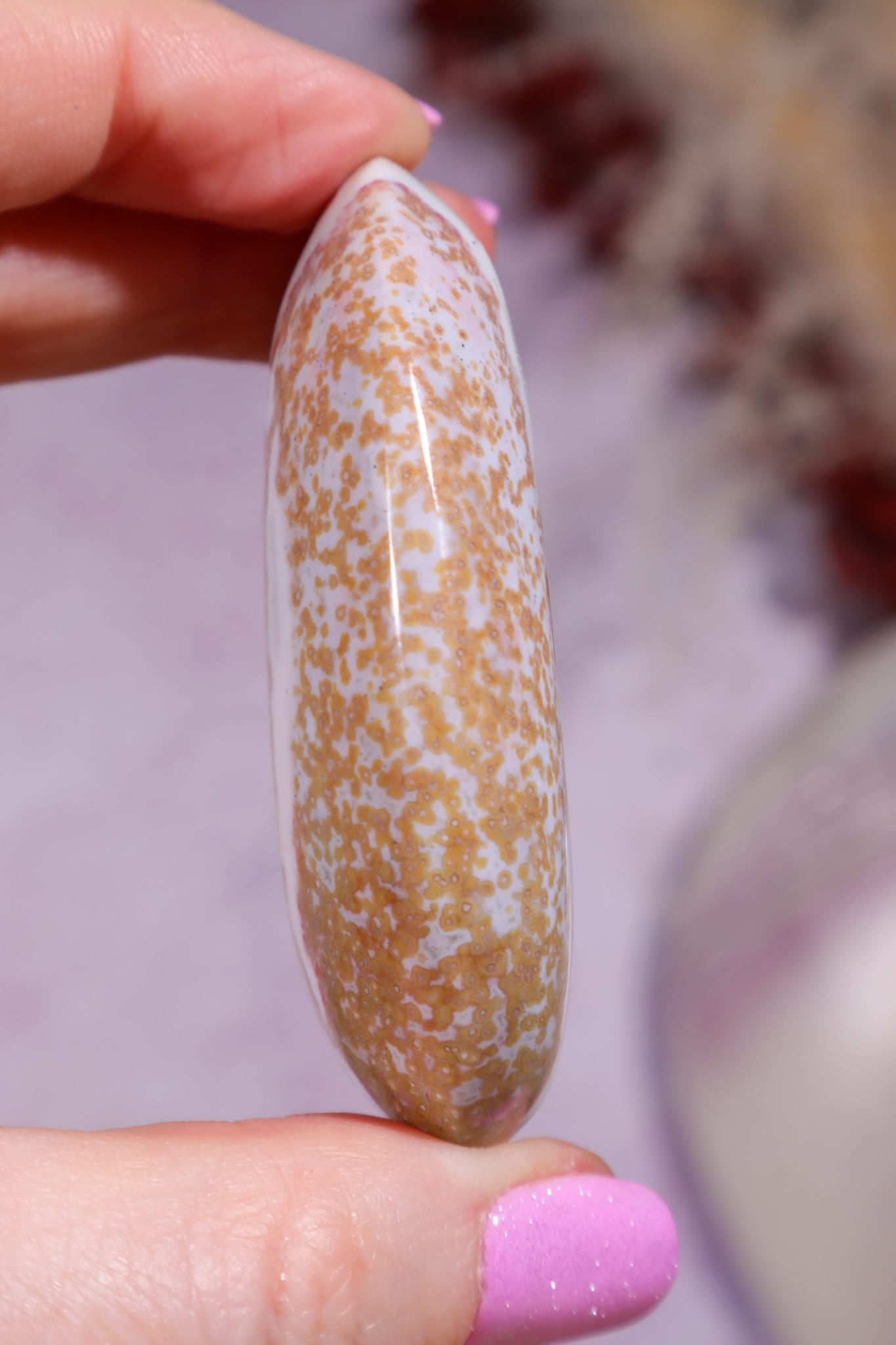 Ocean Jasper Palmstone | 6.3cm | Madagascar Palmstones Tali & Loz Crystals