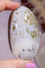 Ocean Jasper Palmstone | 7.3cm | Madagascar Palmstones Tali & Loz Crystals