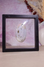 Ocean Jasper Palmstone | 7.3cm | Madagascar Palmstones Tali & Loz Crystals