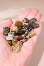 Ocean Jasper Tumblestones 10-20mm - Tali & Loz Crystals