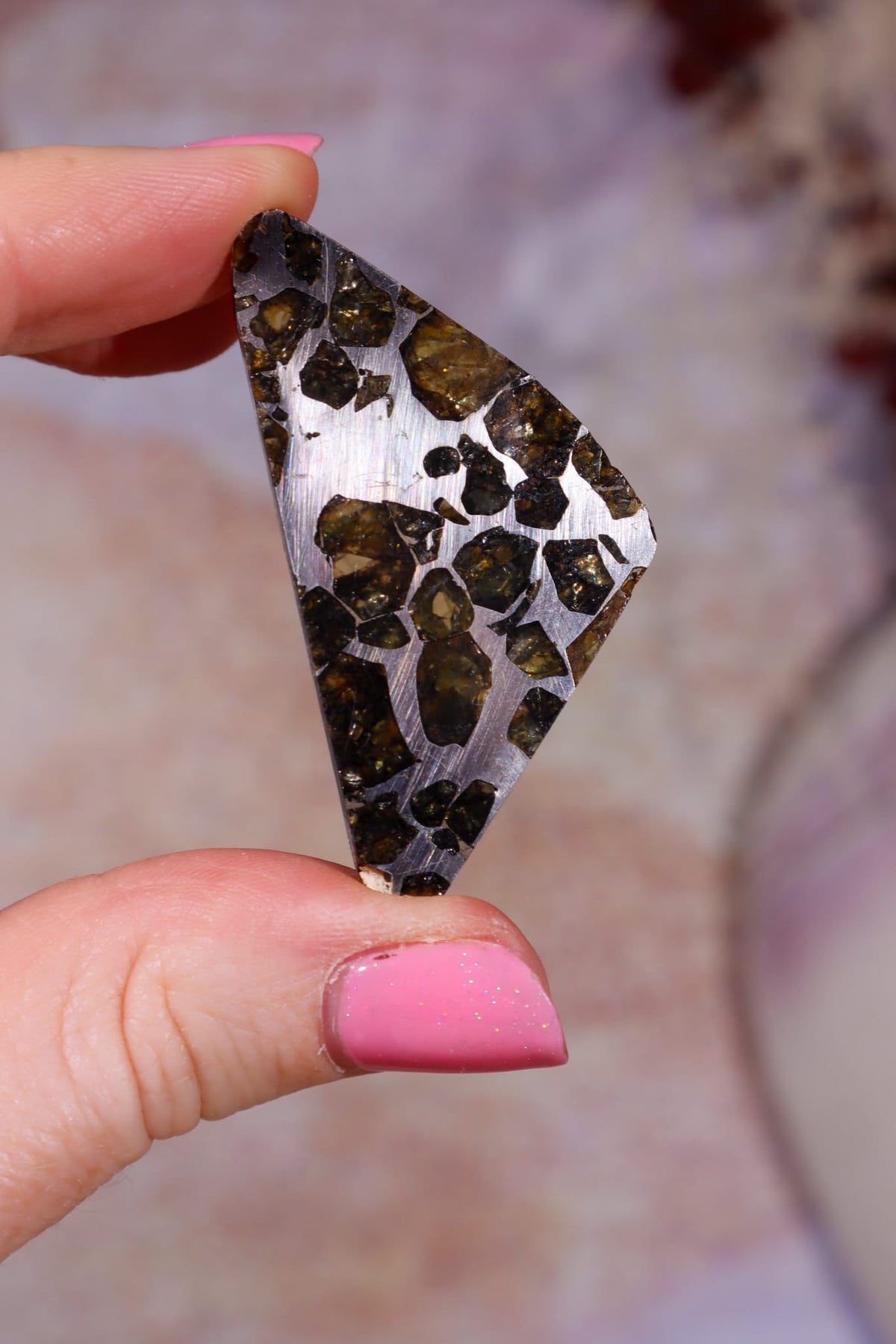 Pallasite Meteorite Slices | Seymchan, Russia | A or B Meteorite A - 8.11 g Tali & Loz Crystals