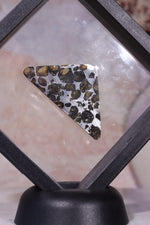 Pallasite Meteorite Slices | Seymchan, Russia | A or B Meteorite Tali & Loz Crystals