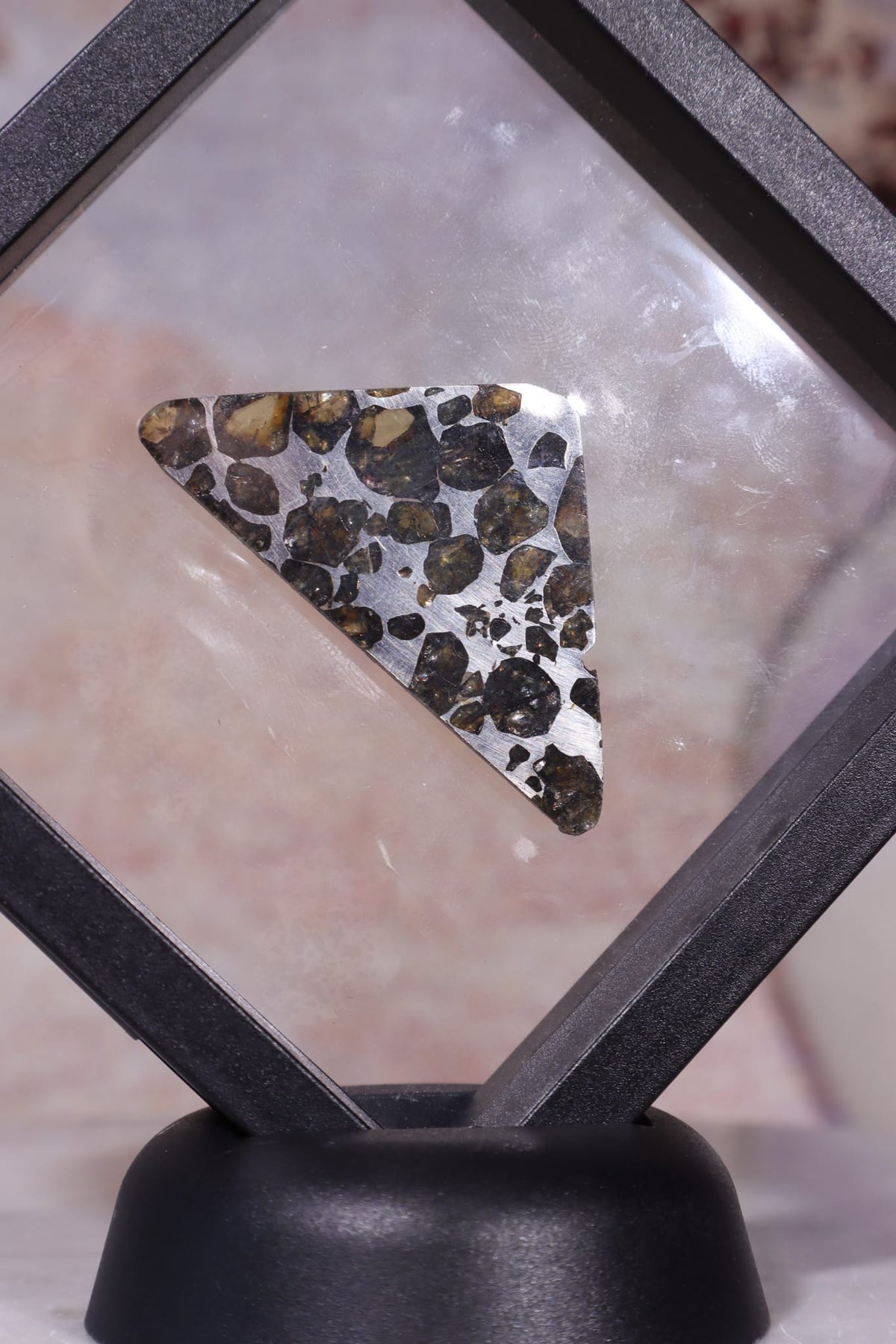 Pallasite Meteorite Slices | Seymchan, Russia | A or B Meteorite Tali & Loz Crystals