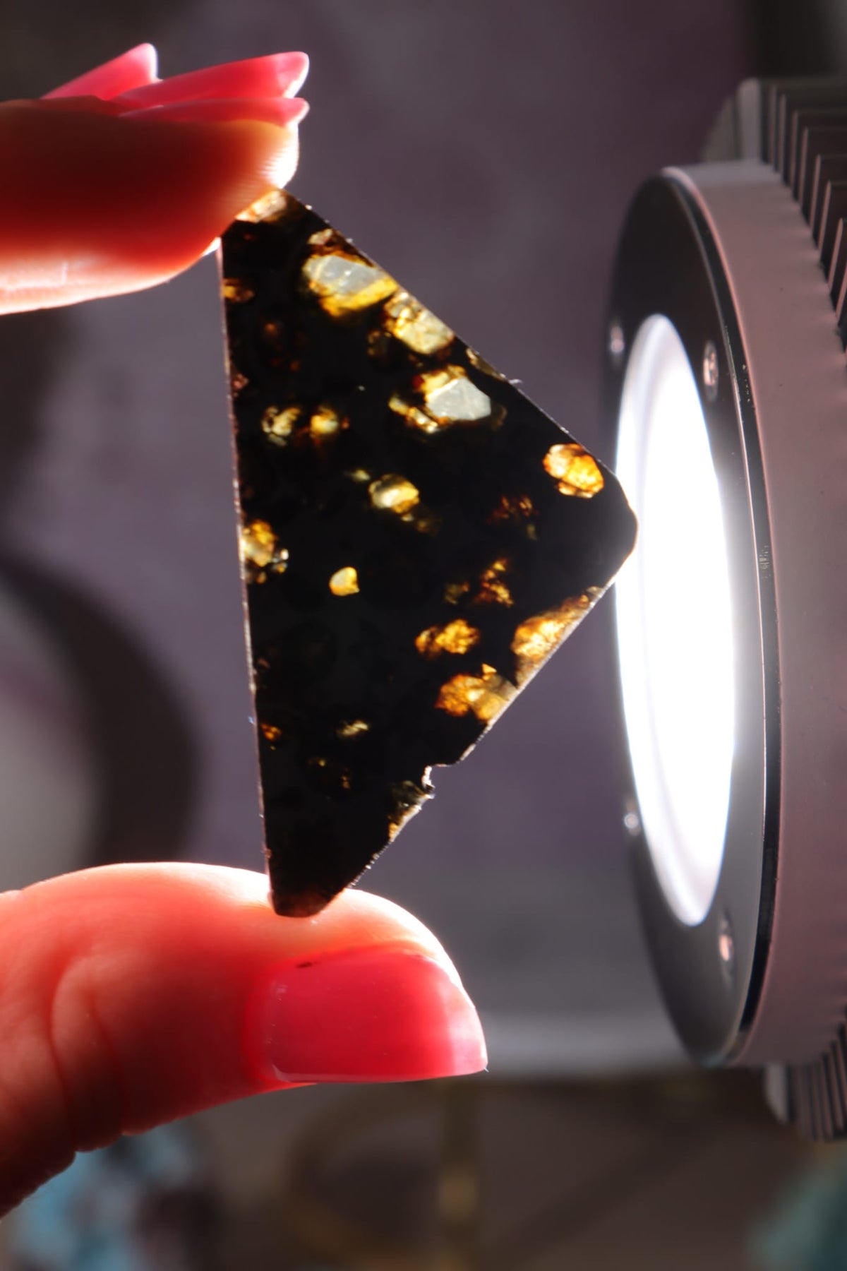 Pallasite Meteorite Slices | Seymchan, Russia | A or B Meteorite Tali & Loz Crystals