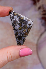 Pallasite Meteorite Slices | Seymchan, Russia | A or B Meteorite Tali & Loz Crystals