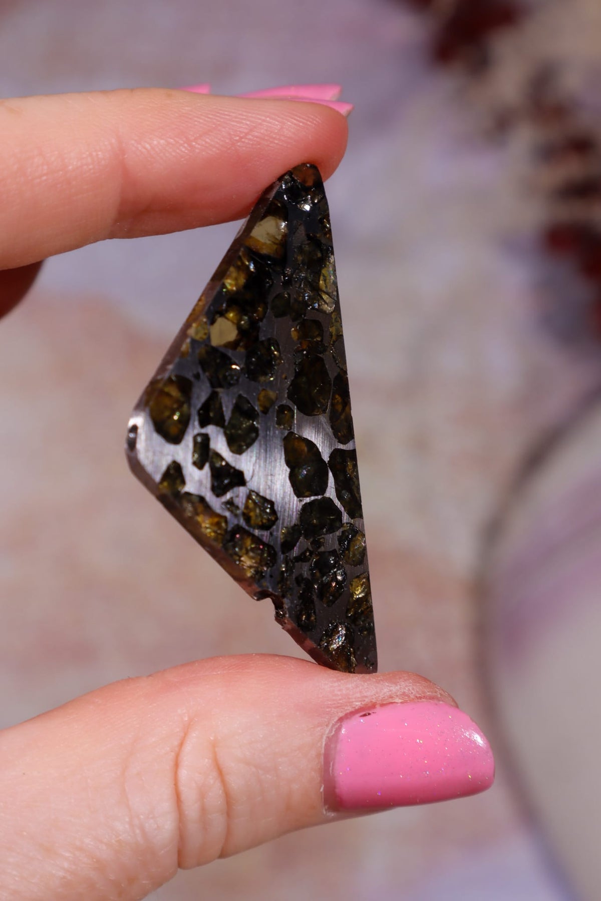Pallasite Meteorite Slices | Seymchan, Russia | A or B Meteorite Tali & Loz Crystals
