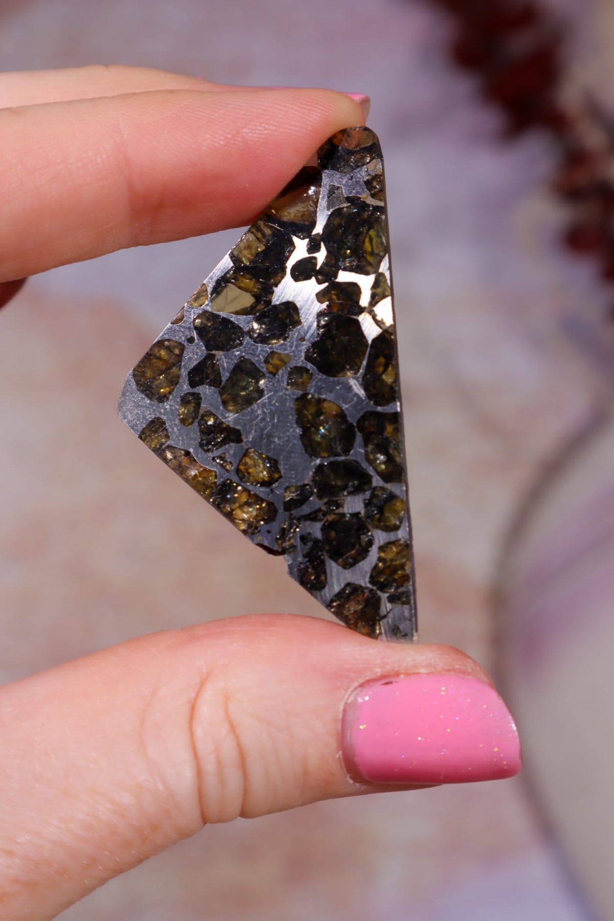 Pallasite Meteorite Slices | Seymchan, Russia | A or B Meteorite Tali & Loz Crystals
