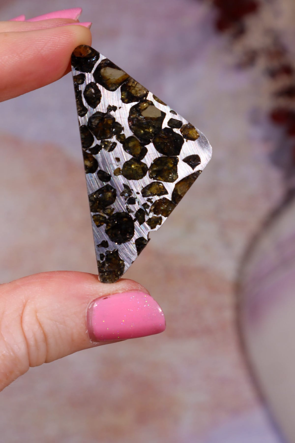 Pallasite Meteorite Slices | Seymchan, Russia | A or B Meteorite Tali & Loz Crystals