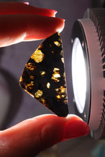 Pallasite Meteorite Slices | Seymchan, Russia | A or B Meteorite Tali & Loz Crystals