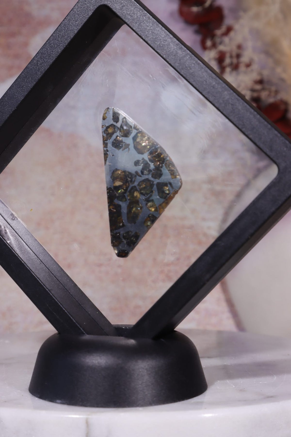 Pallasite Meteorite Slices | Seymchan, Russia | A or B Meteorite Tali & Loz Crystals