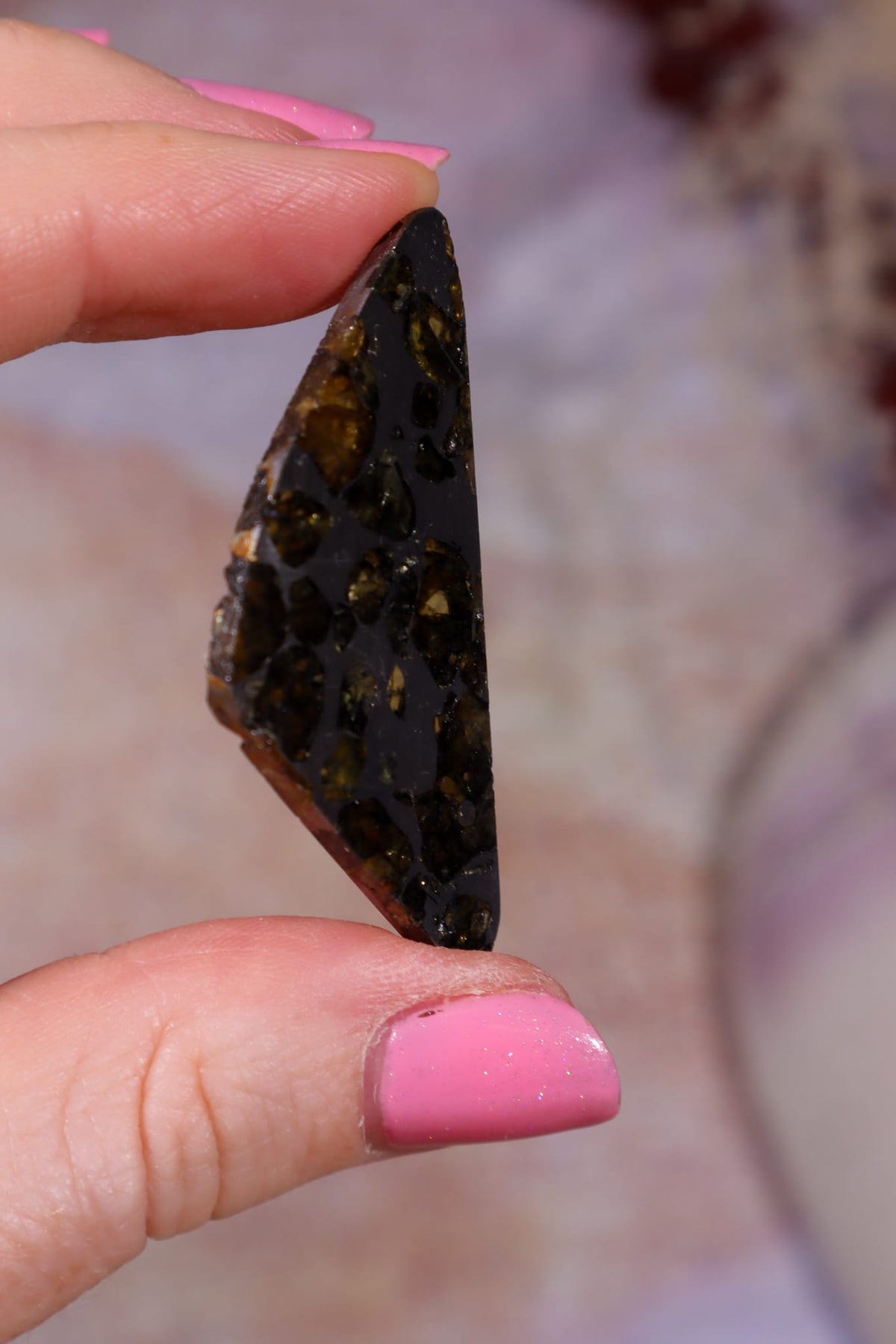 Pallasite Meteorite Slices | Seymchan, Russia | A or B Meteorite Tali & Loz Crystals