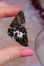Pallasite Meteorite Slices | Seymchan, Russia | A or B Meteorite Tali & Loz Crystals