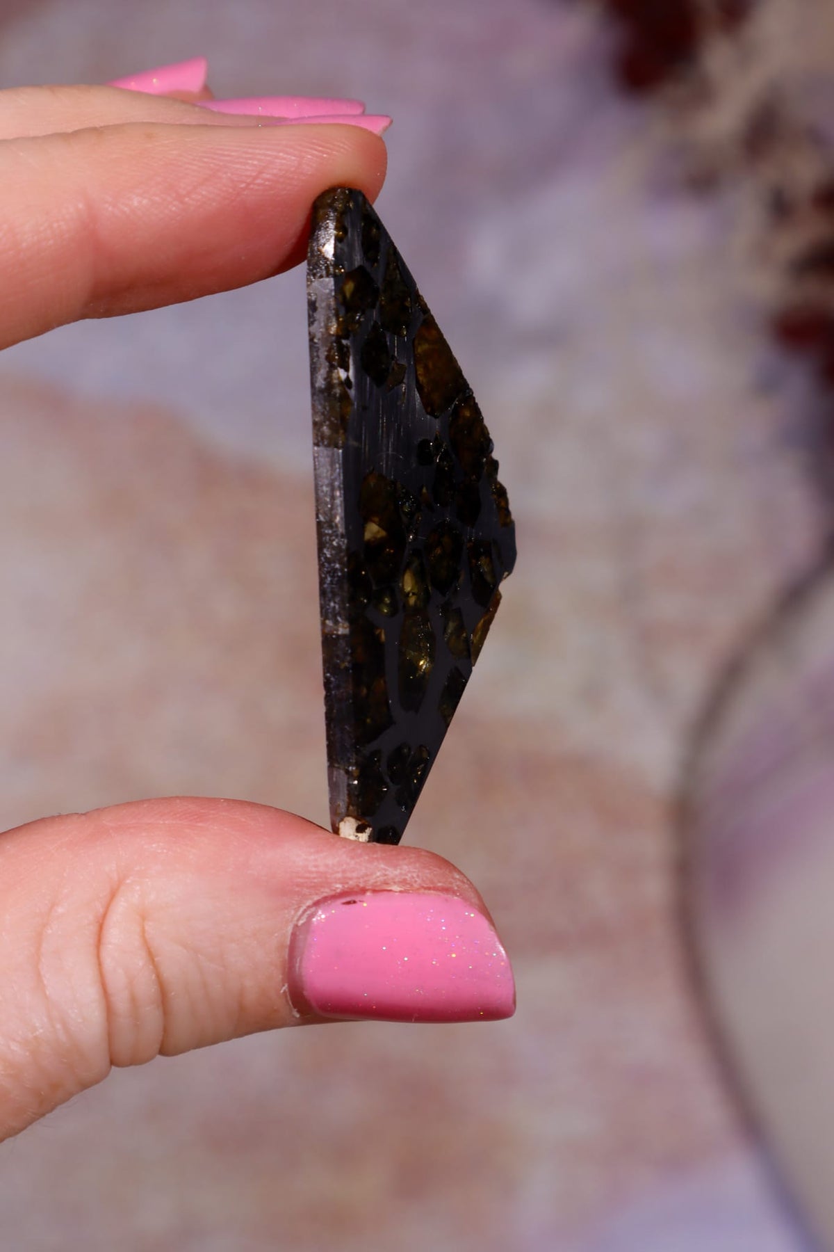Pallasite Meteorite Slices | Seymchan, Russia | A or B Meteorite Tali & Loz Crystals