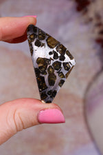 Pallasite Meteorite Slices | Seymchan, Russia | A or B Meteorite Tali & Loz Crystals
