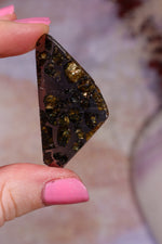 Pallasite Meteorite Slices | Seymchan, Russia | A or B Meteorite Tali & Loz Crystals