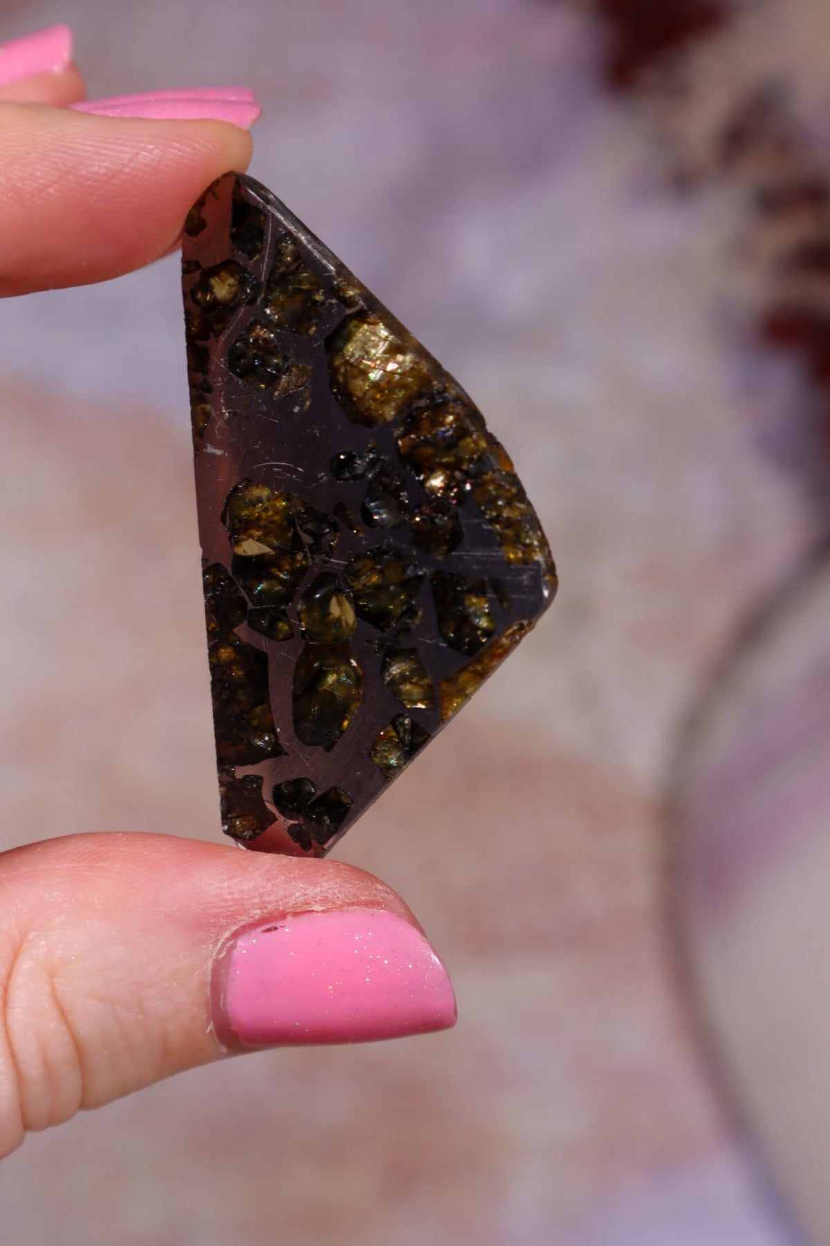 Pallasite Meteorite Slices | Seymchan, Russia | A or B Meteorite Tali & Loz Crystals