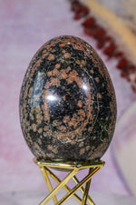 Peanut Obsidian Egg | 7.4cm | Mexico Crystal Tali & Loz Crystals