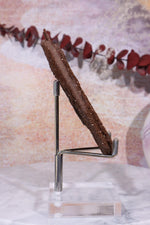 Permineralized wood,10cm,Sold As Seen Fossil Tali & Loz Crystals