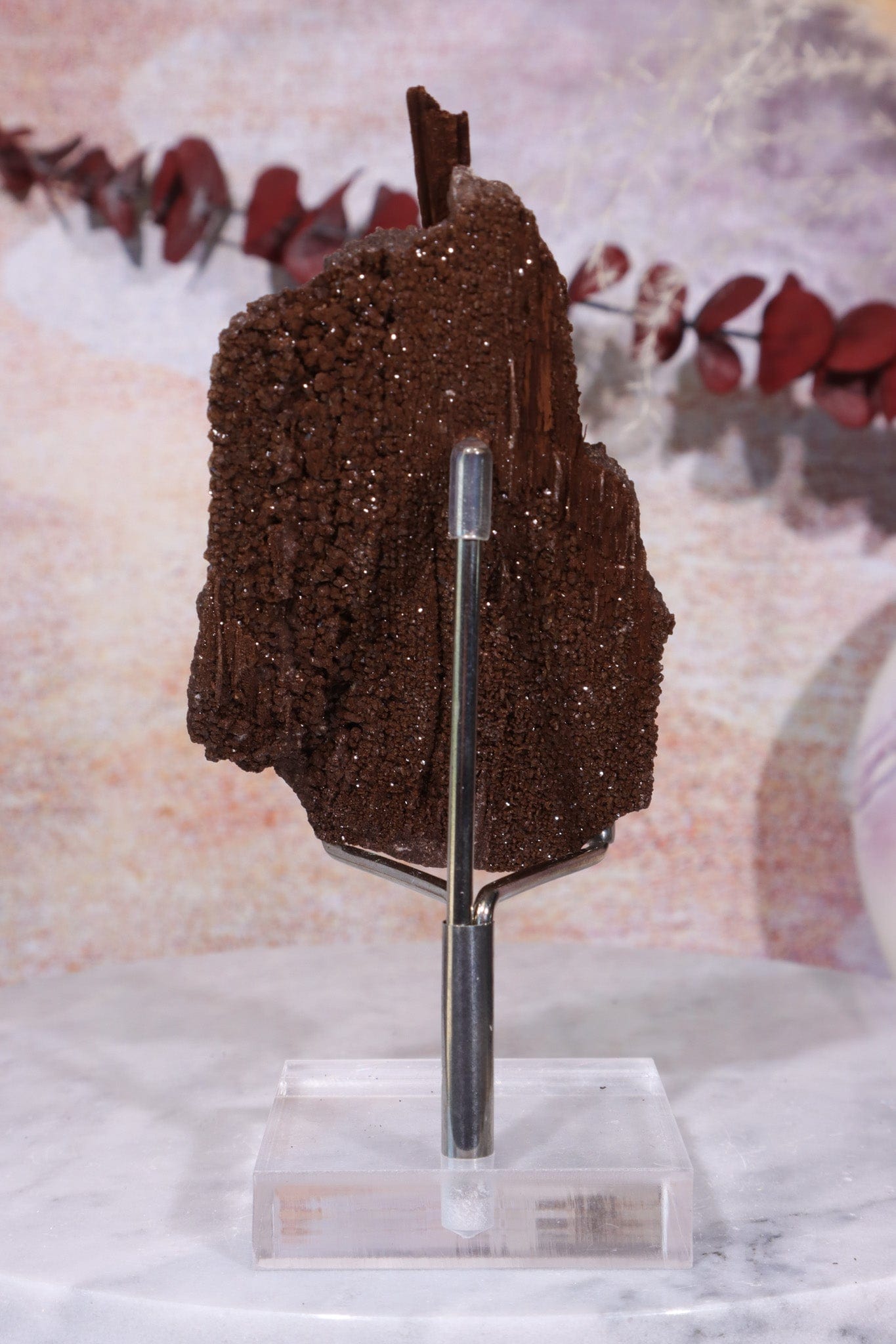 Permineralized wood,10cm,Sold As Seen Fossil Tali & Loz Crystals