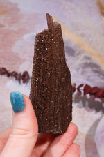 Permineralized wood,10cm,Sold As Seen Fossil Tali & Loz Crystals