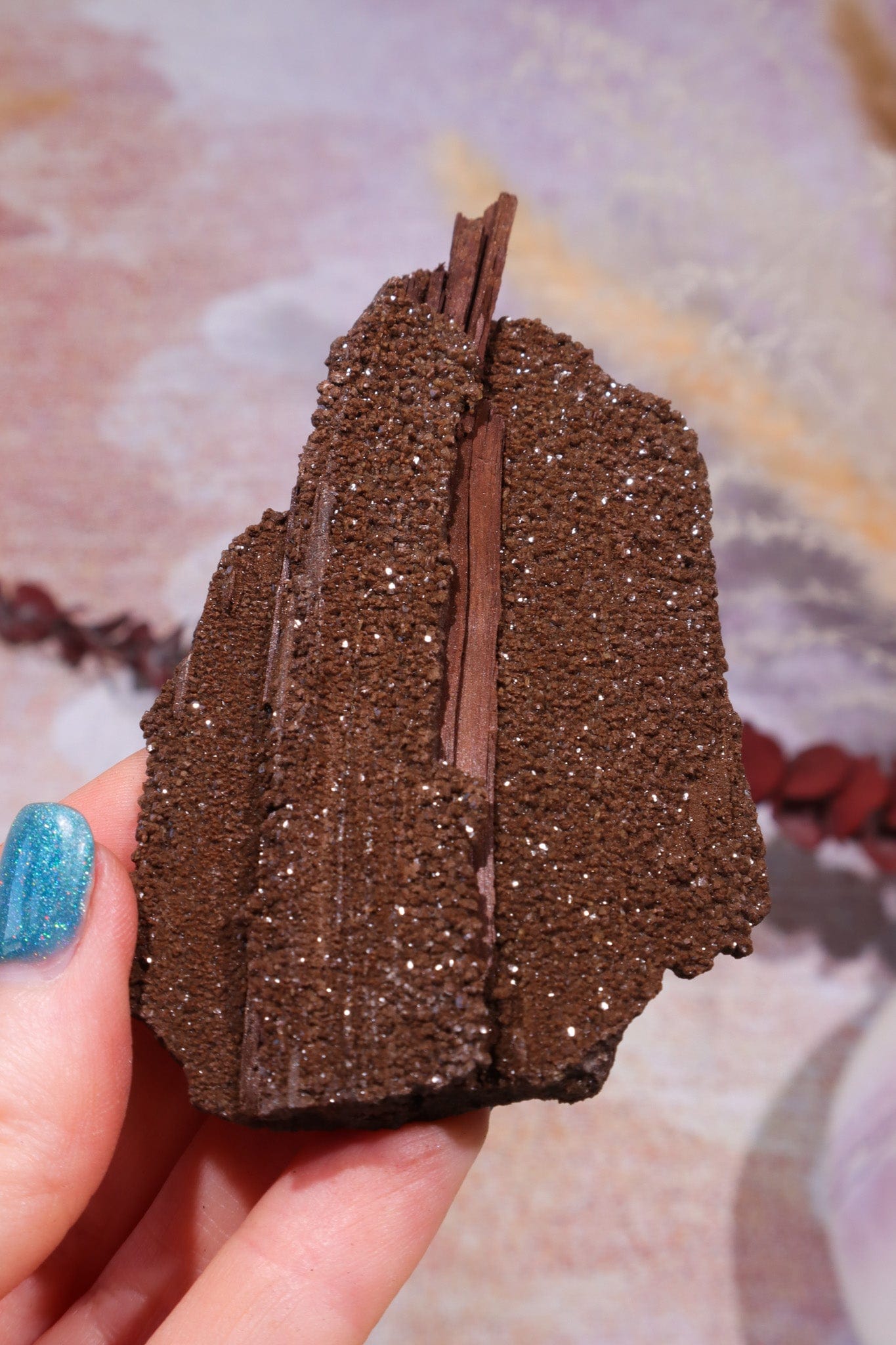 Permineralized wood,10cm,Sold As Seen Fossil Tali & Loz Crystals