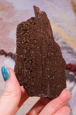 Permineralized wood,10cm,Sold As Seen Fossil Tali & Loz Crystals