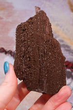 Permineralized wood,10cm,Sold As Seen Fossil Tali & Loz Crystals