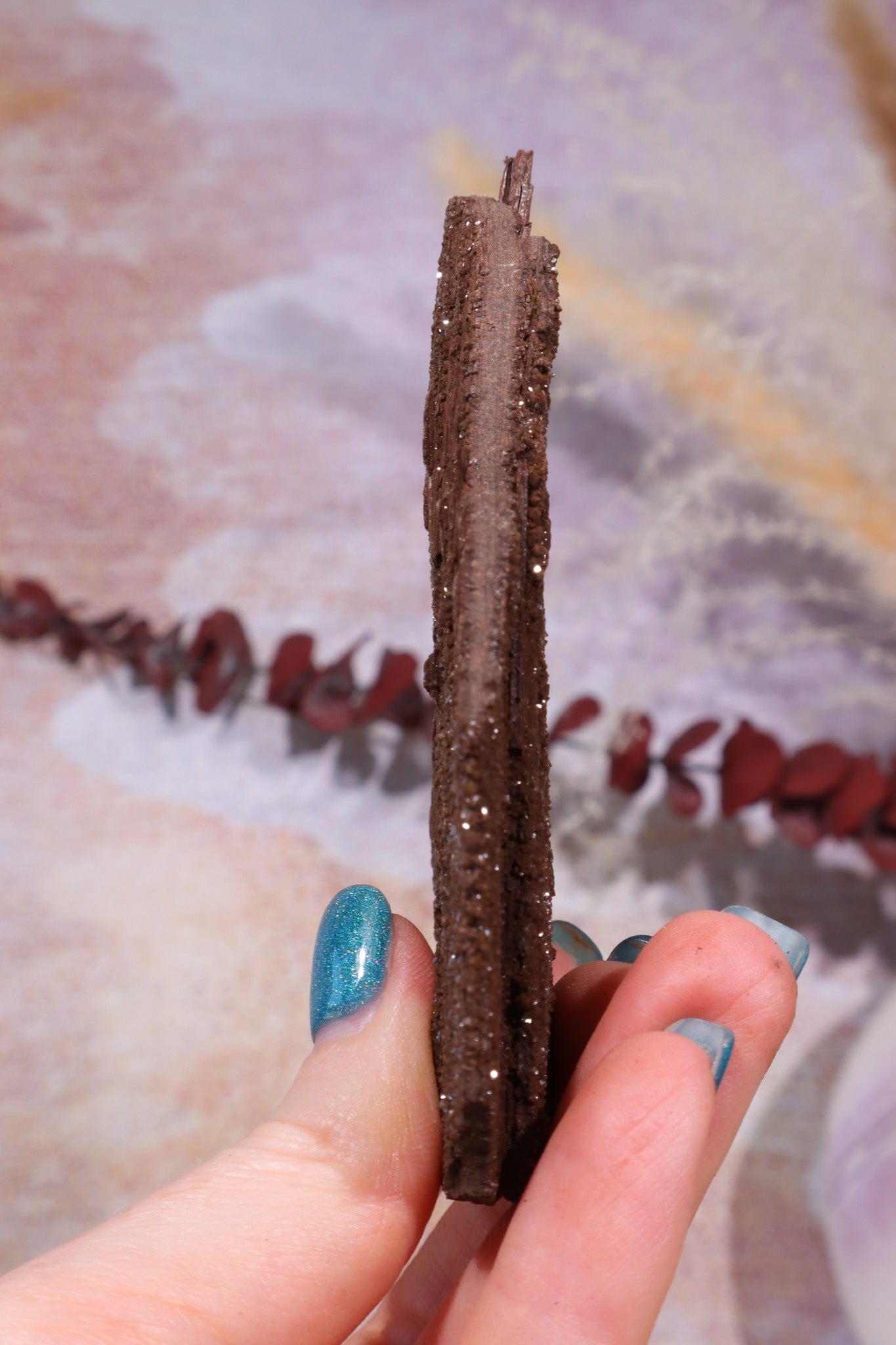 Permineralized wood,10cm,Sold As Seen Fossil Tali & Loz Crystals