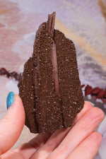 Permineralized wood,10cm,Sold As Seen Fossil Tali & Loz Crystals