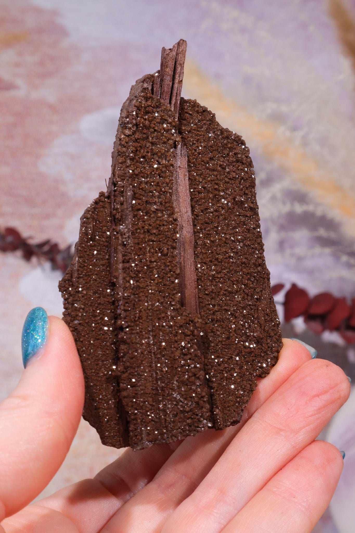 Permineralized wood,10cm,Sold As Seen Fossil Tali & Loz Crystals