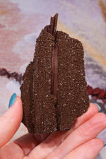 Permineralized wood,10cm,Sold As Seen Fossil Tali & Loz Crystals