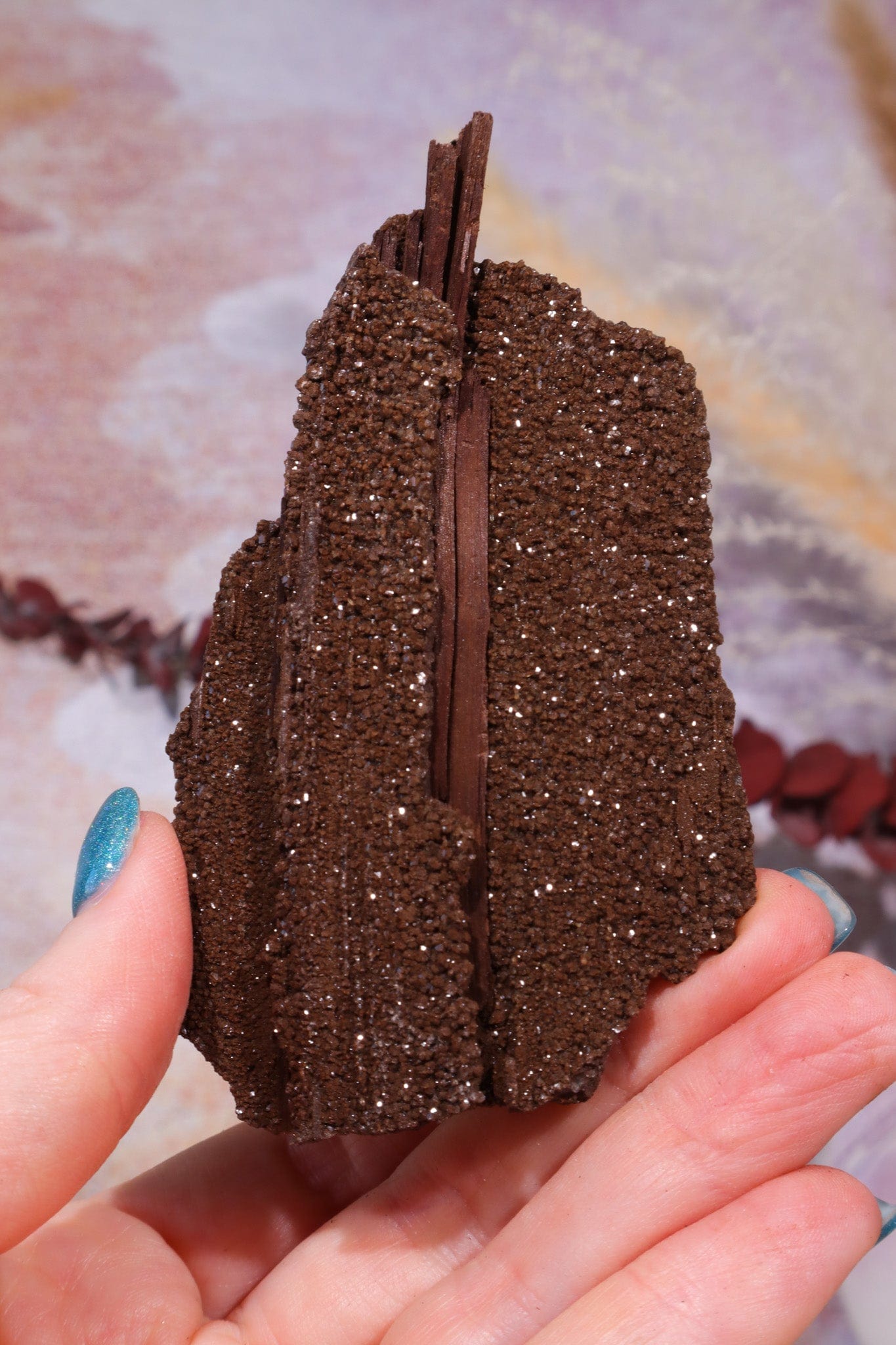 Permineralized wood,10cm,Sold As Seen Fossil Tali & Loz Crystals