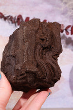 Permineralized wood, 10cm, Sold As Seen Fossil Tali & Loz Crystals