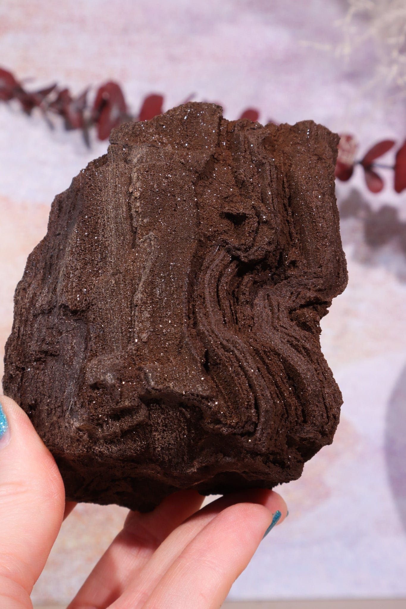 Permineralized wood, 10cm, Sold As Seen Fossil Tali & Loz Crystals