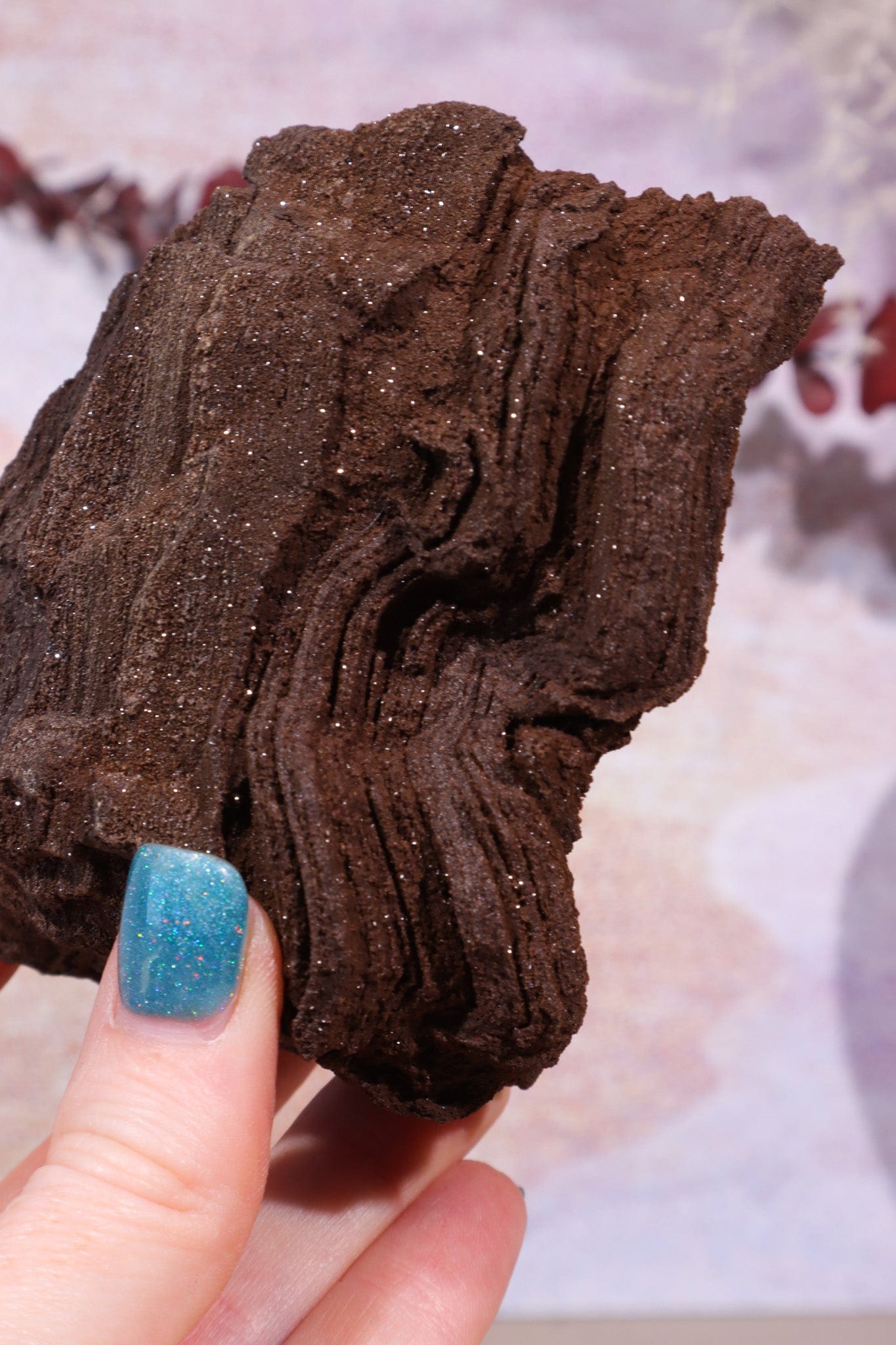 Permineralized wood, 10cm, Sold As Seen Fossil Tali & Loz Crystals