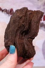 Permineralized wood, 10cm, Sold As Seen Fossil Tali & Loz Crystals
