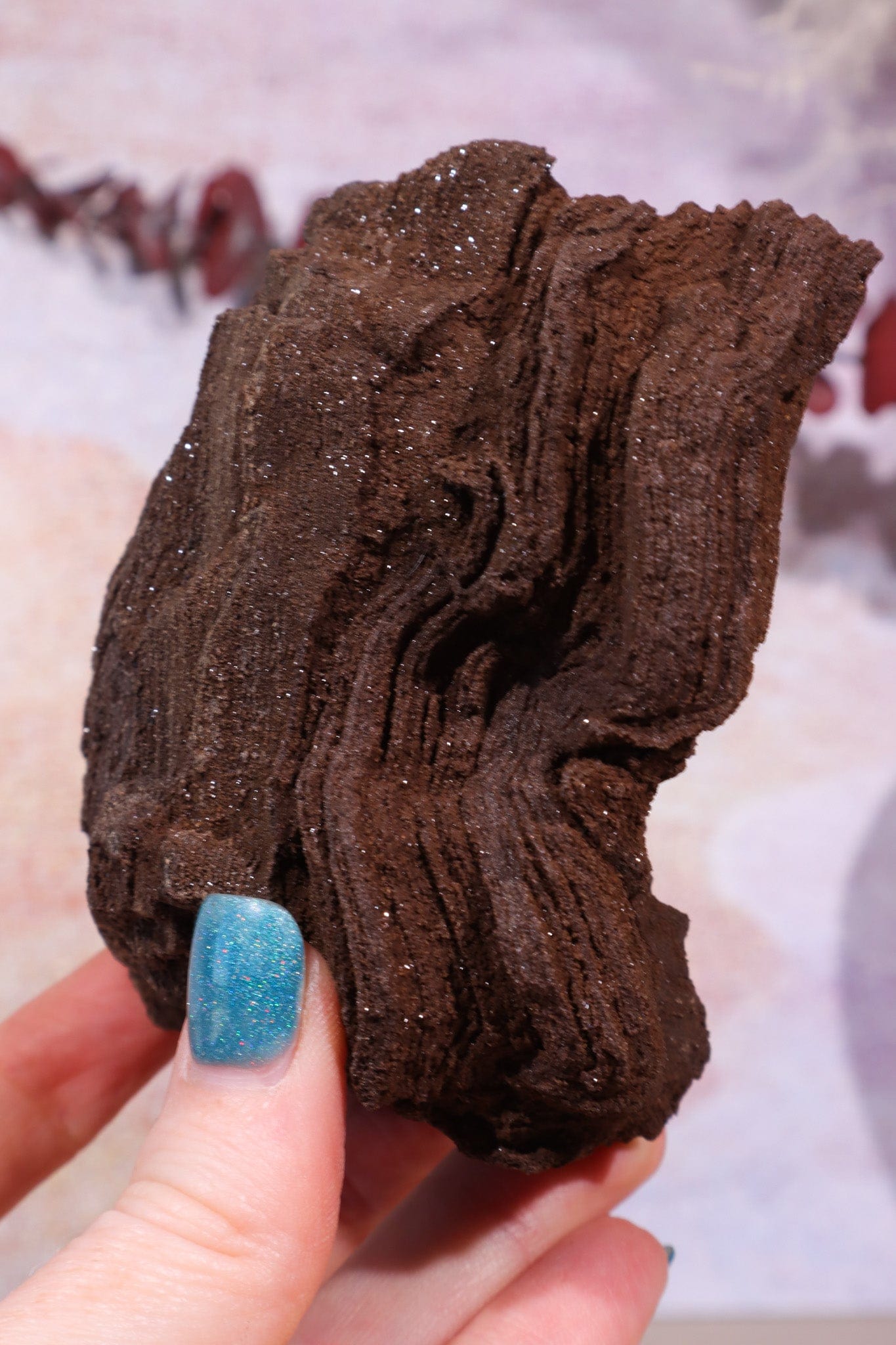 Permineralized wood, 10cm, Sold As Seen Fossil Tali & Loz Crystals