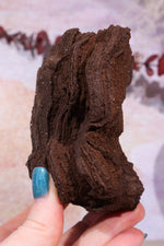 Permineralized wood, 10cm, Sold As Seen Fossil Tali & Loz Crystals