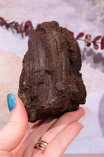 Permineralized wood, 10cm, Sold As Seen Fossil Tali & Loz Crystals